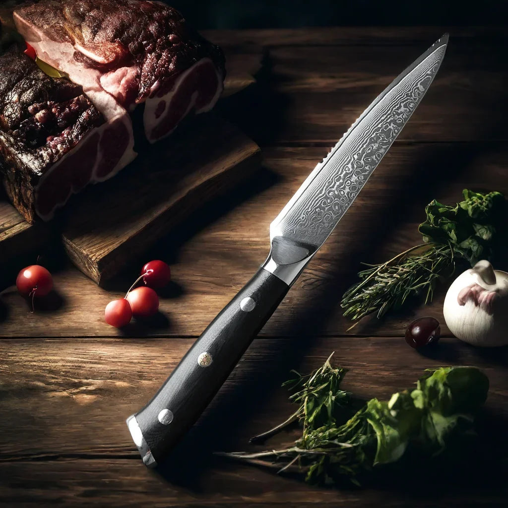4-Piece Damascus Steel Steak Knife Set | 67-Layer G10 Handle