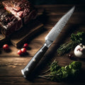 4-Piece Damascus Steel Steak Knife Set | 67-Layer G10 Handle