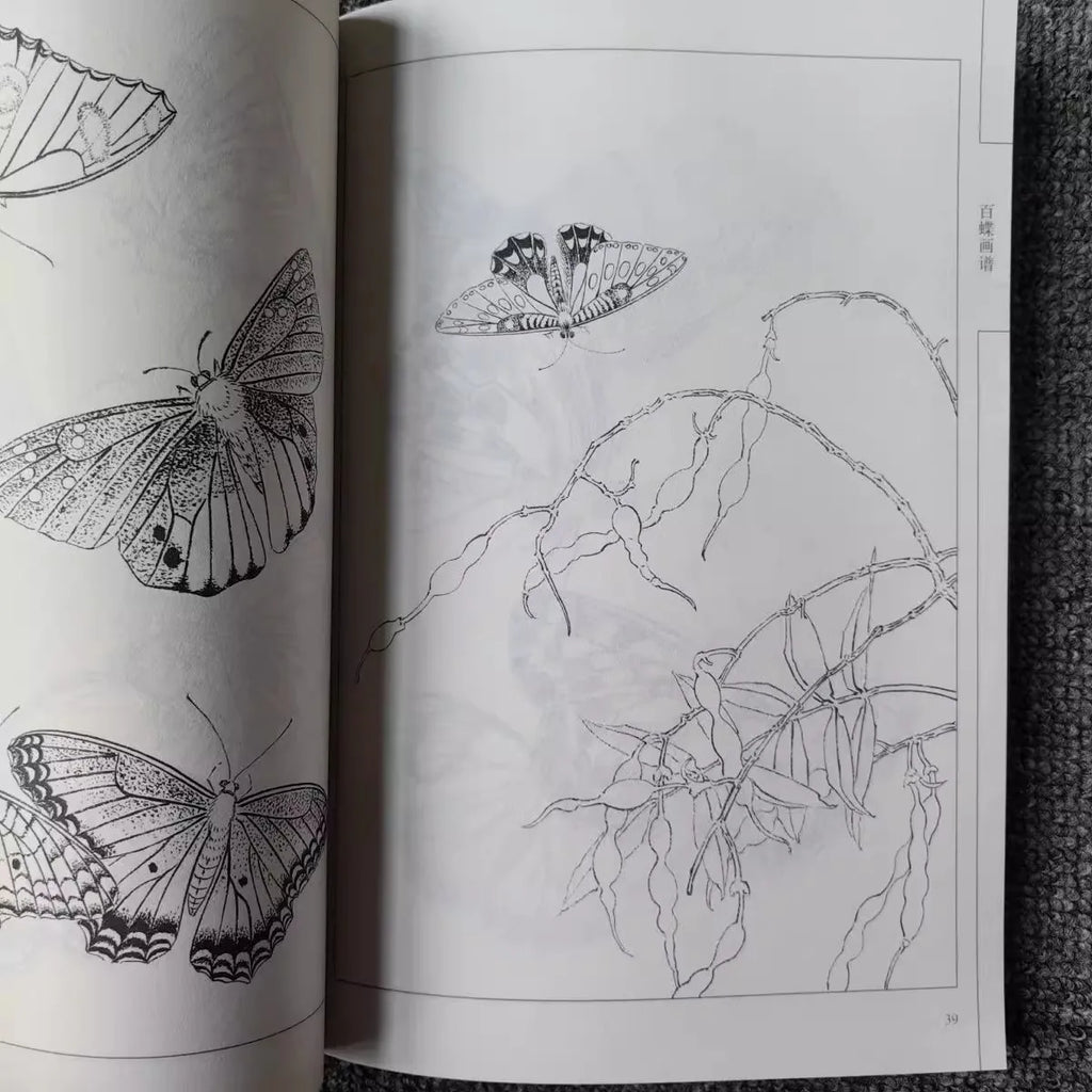 94Pages Hundred Butterflies Chinese Line Drawing Collection Adult