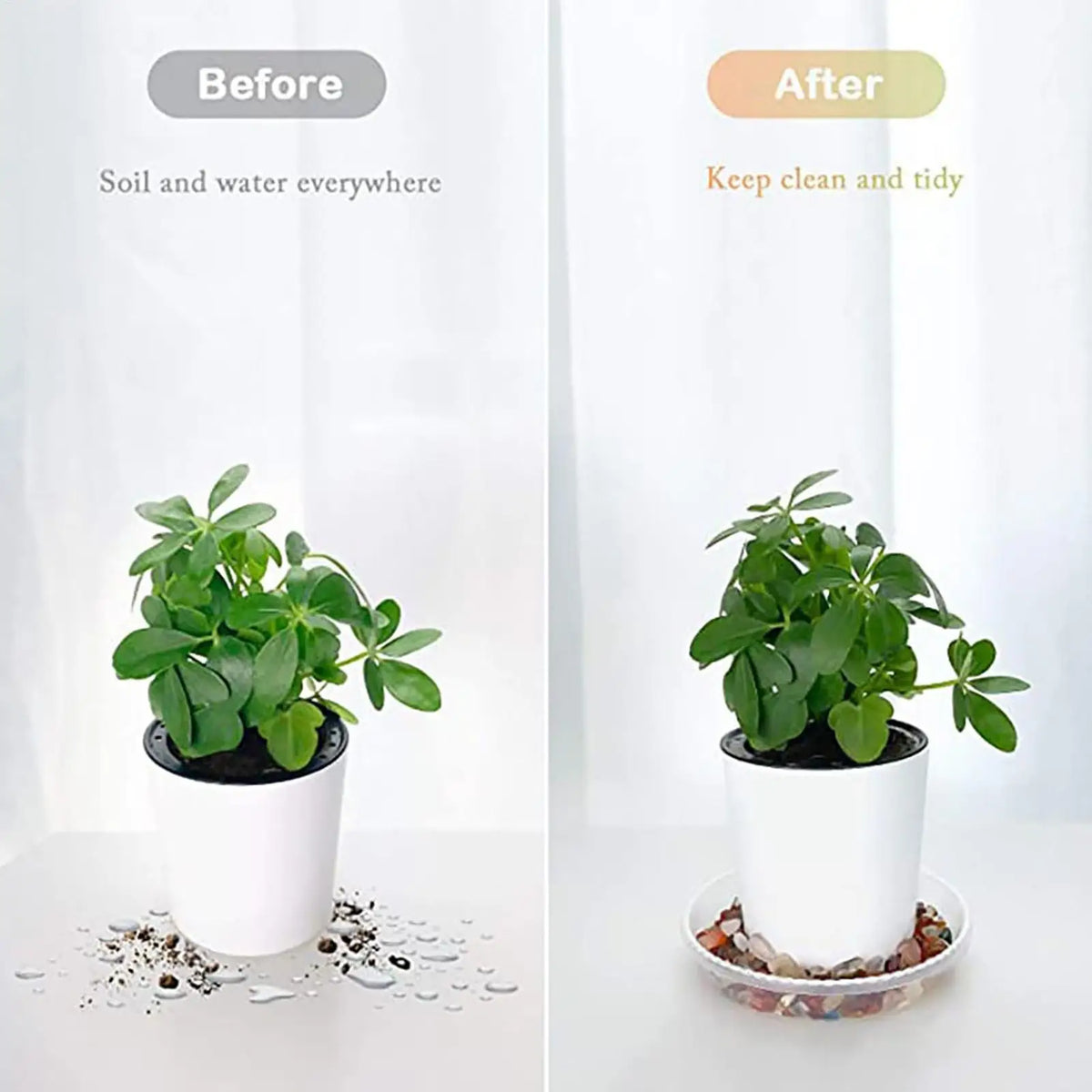 Clear Plant Saucer Trays 5-Pack | 6", 8" & 10" Drainage Dishes