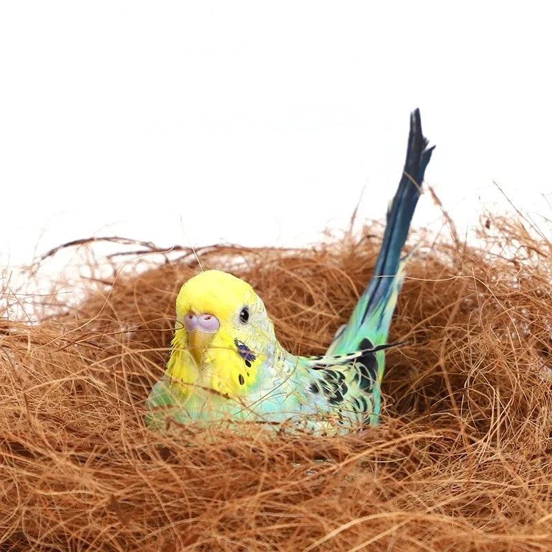 Coconut Fiber Bird Nesting Material – Canaries & Finches