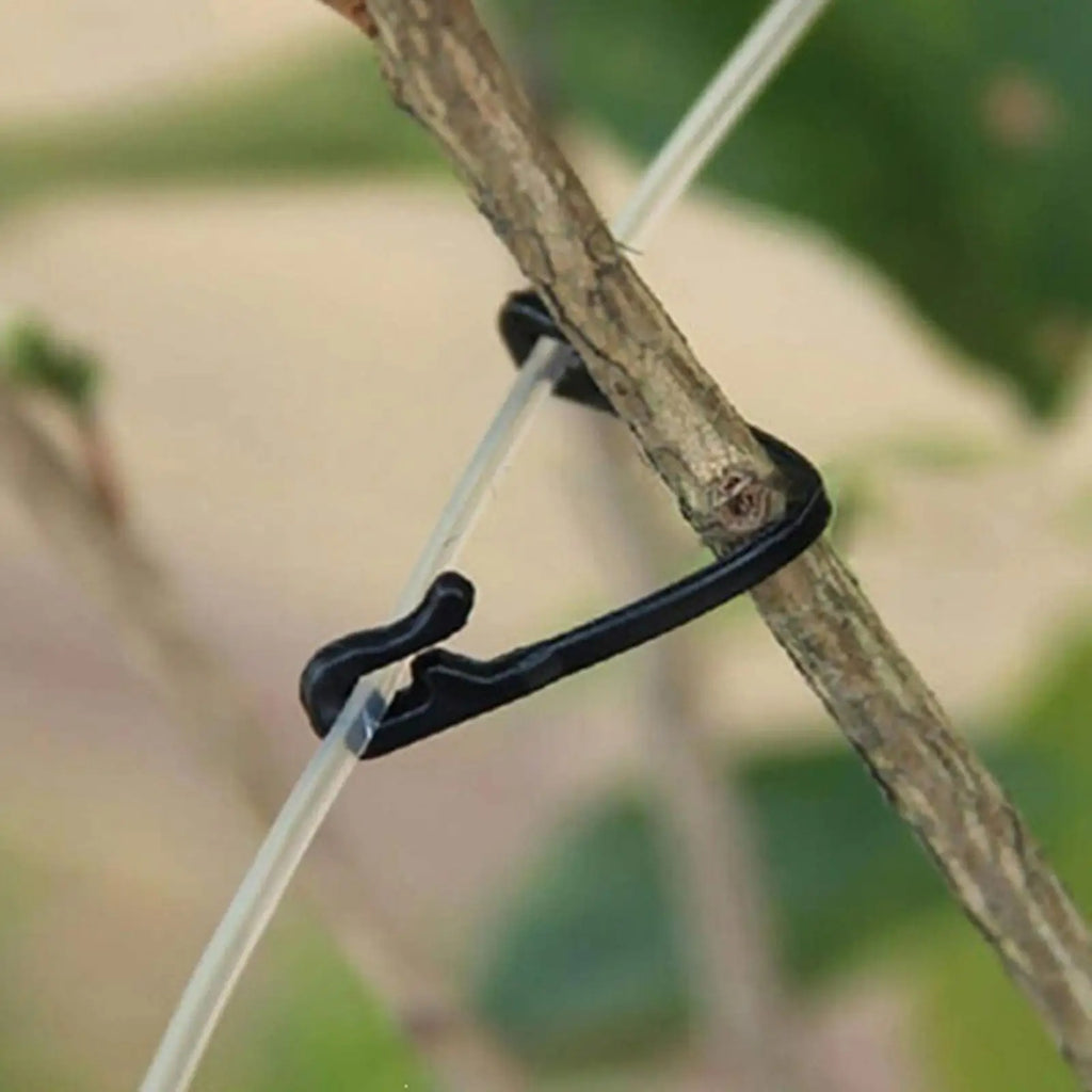 50pcs Heavy-Duty Trellis Clips – Garden Plant Support Clips