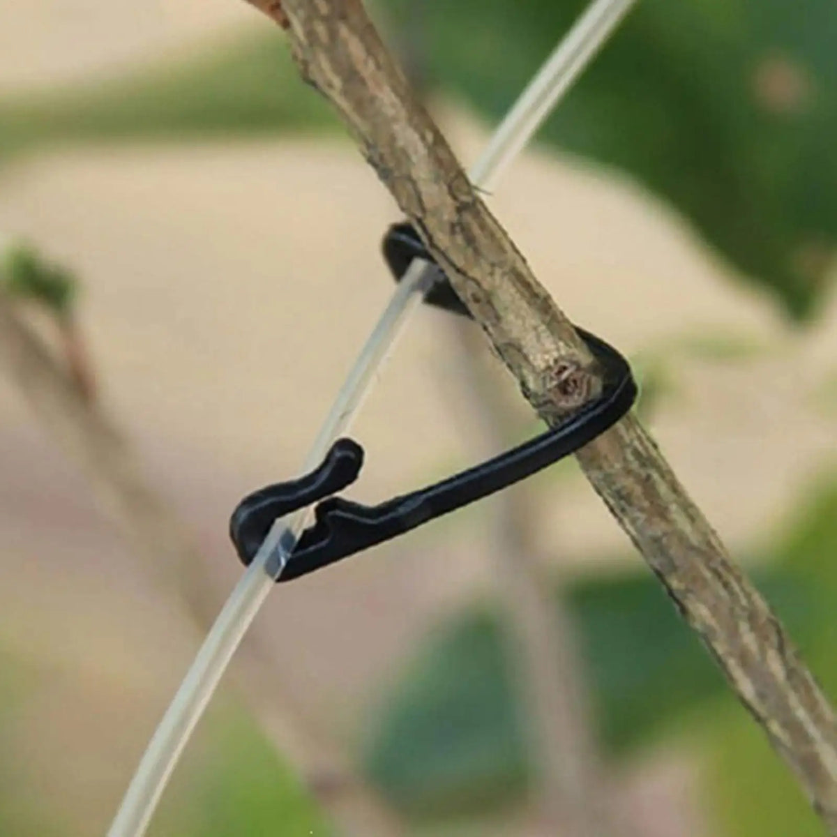 50pcs Heavy-Duty Trellis Clips – Garden Plant Support Clips