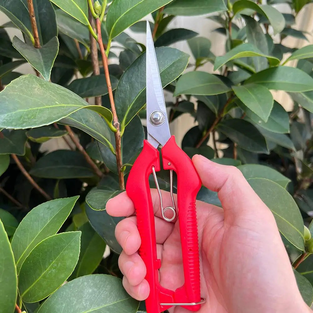 Stainless Steel Fruit Picking Pruning Shears | Garden Scissors