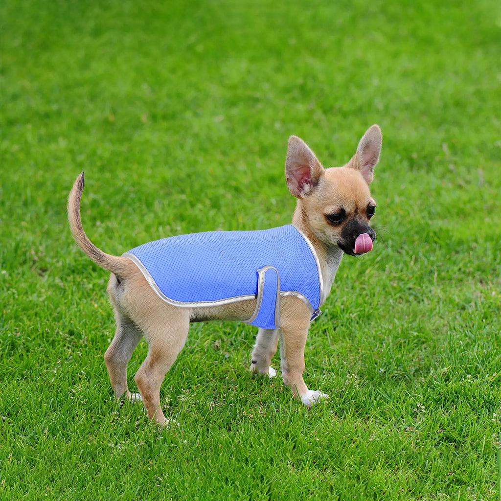 Dog Cooling Vest Puppy Waistcoat S Lightweight Pva Technology