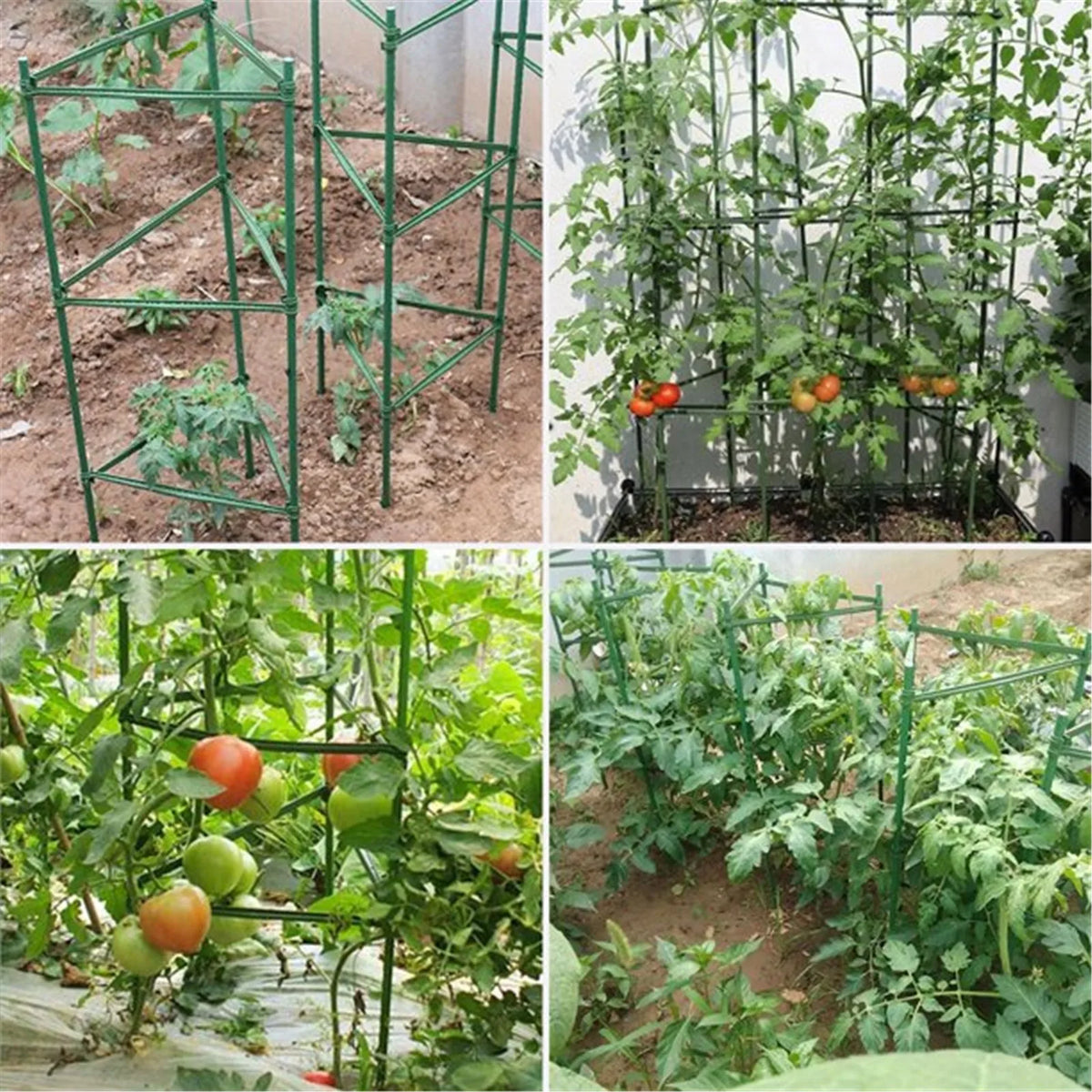 24-Pc Plant Stake Arms – DIY Tomato Cage & Climbing Support