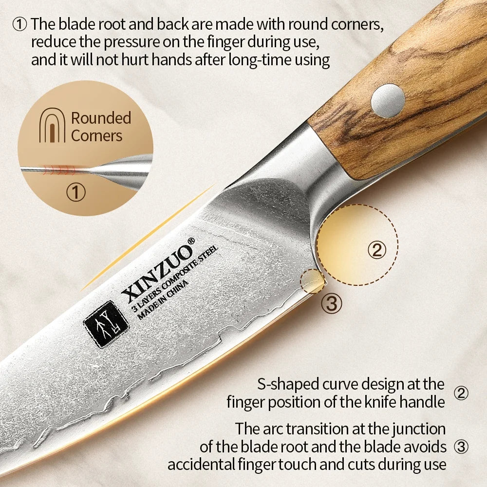 XINZUO 4-Inch Paring Knife – 10Cr15CoMoV Steel & Olive Wood