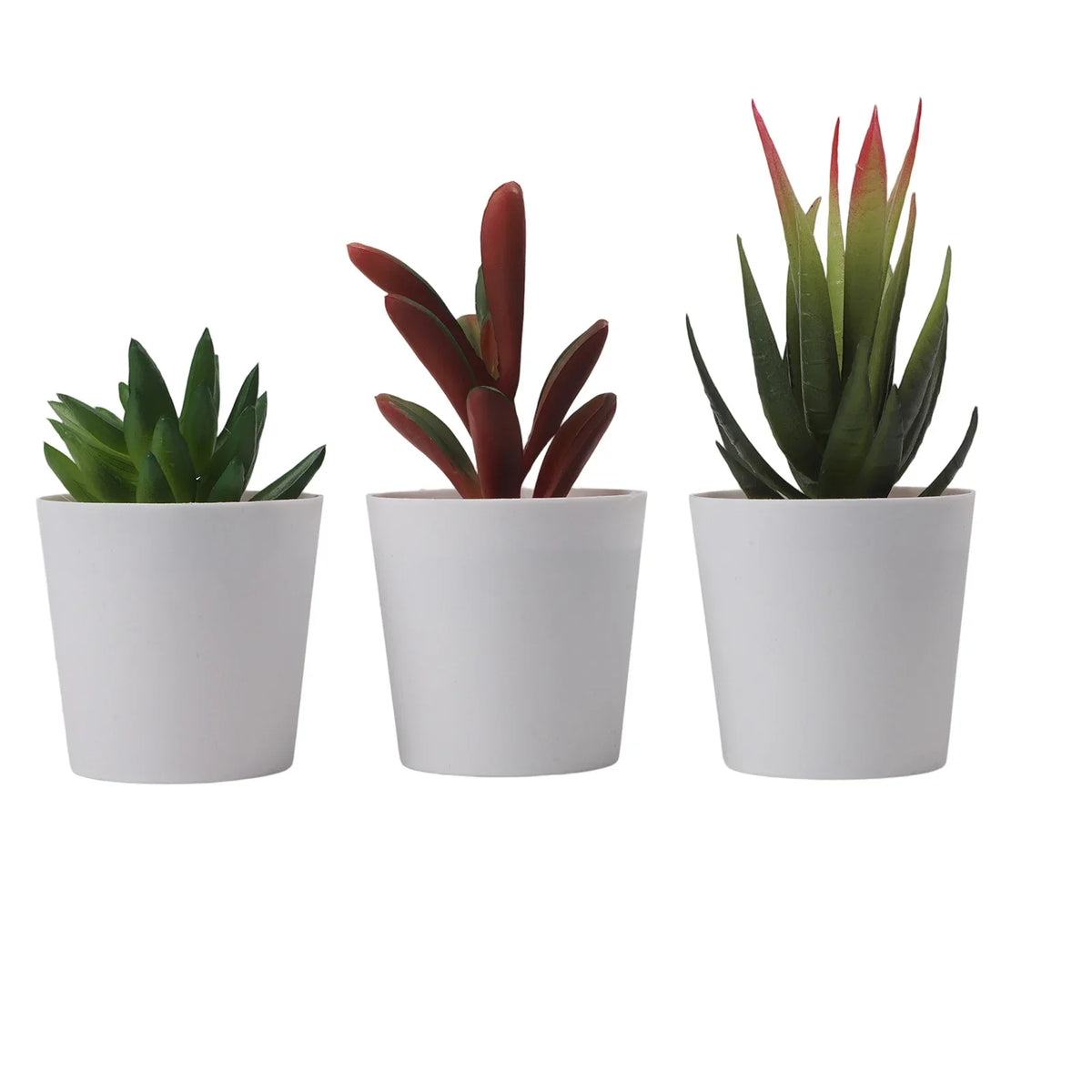 Artificial Succulent Bonsai Set of 3 – Faux Desktop Decor
