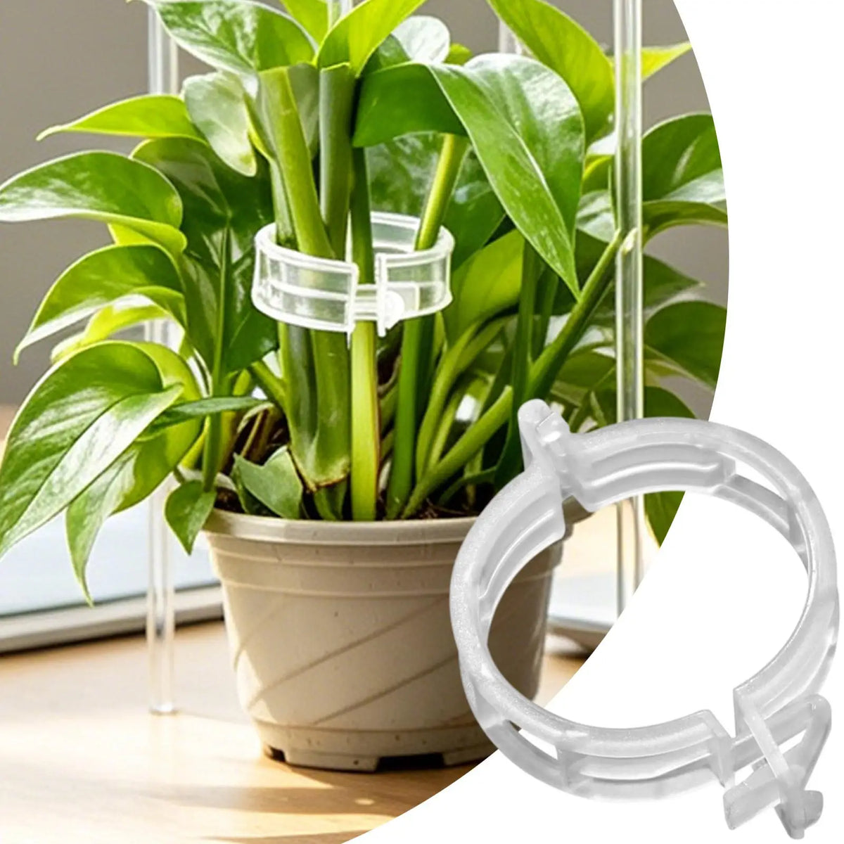 100-Pack Plant Support Clips | Trellis & Stake Garden Clips