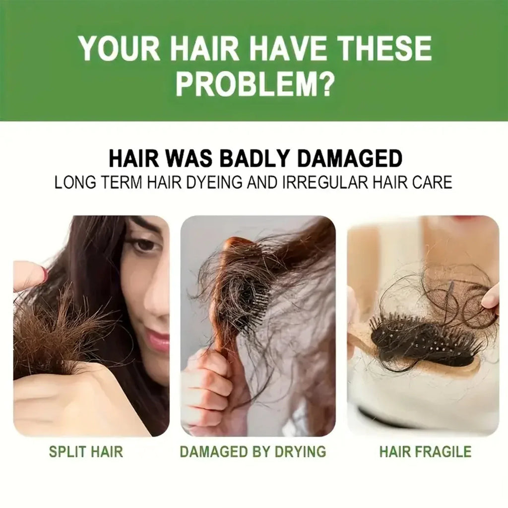 Rosemary Amino Acid Shampoo with Ginger Root – Soft Shiny Hair
