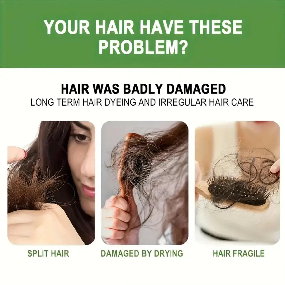 Rosemary Amino Acid Shampoo with Ginger Root – Soft Shiny Hair