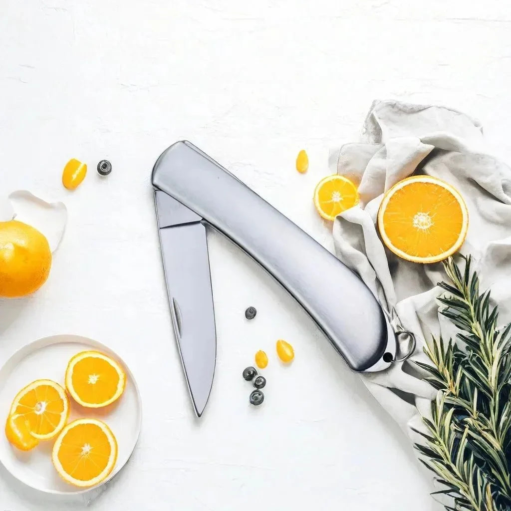 Stainless Steel Mini Pocket Fruit Knife – Camping & Kitchen