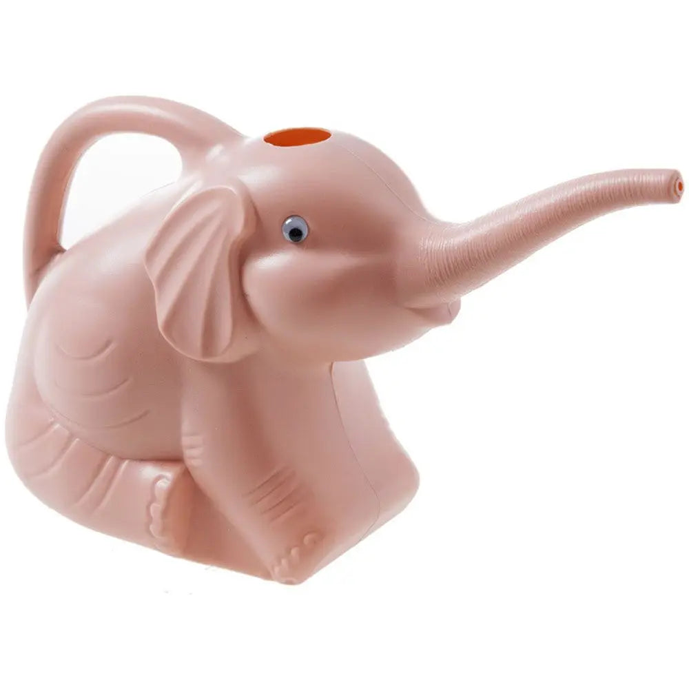 2L Plastic Watering Can – 3 Colors | Garden & Indoor Plants