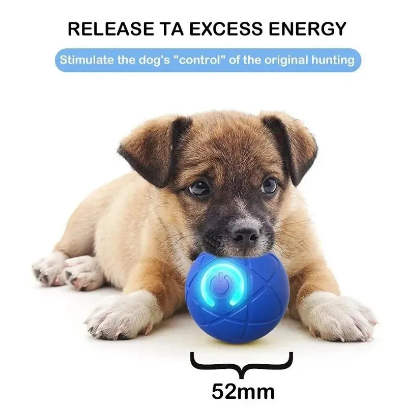 Rechargeable Auto-Moving Interactive Dog Ball Toy – 2 Modes