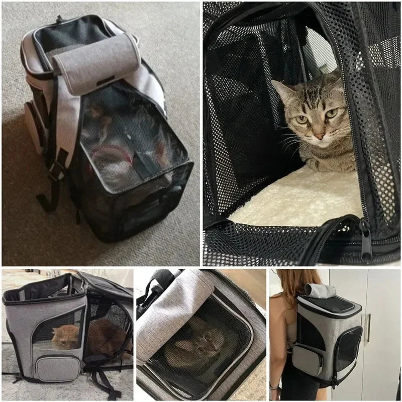 Expandable Pet Carrier Backpack for Cats & Small Dogs