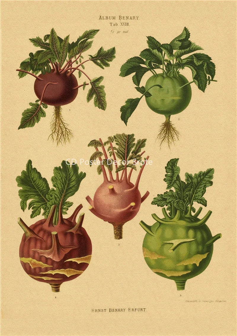 Vintage Botanical Poster – Kraft Paper Plant & Flower Wall Art