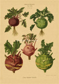Vintage Botanical Poster – Kraft Paper Plant & Flower Wall Art