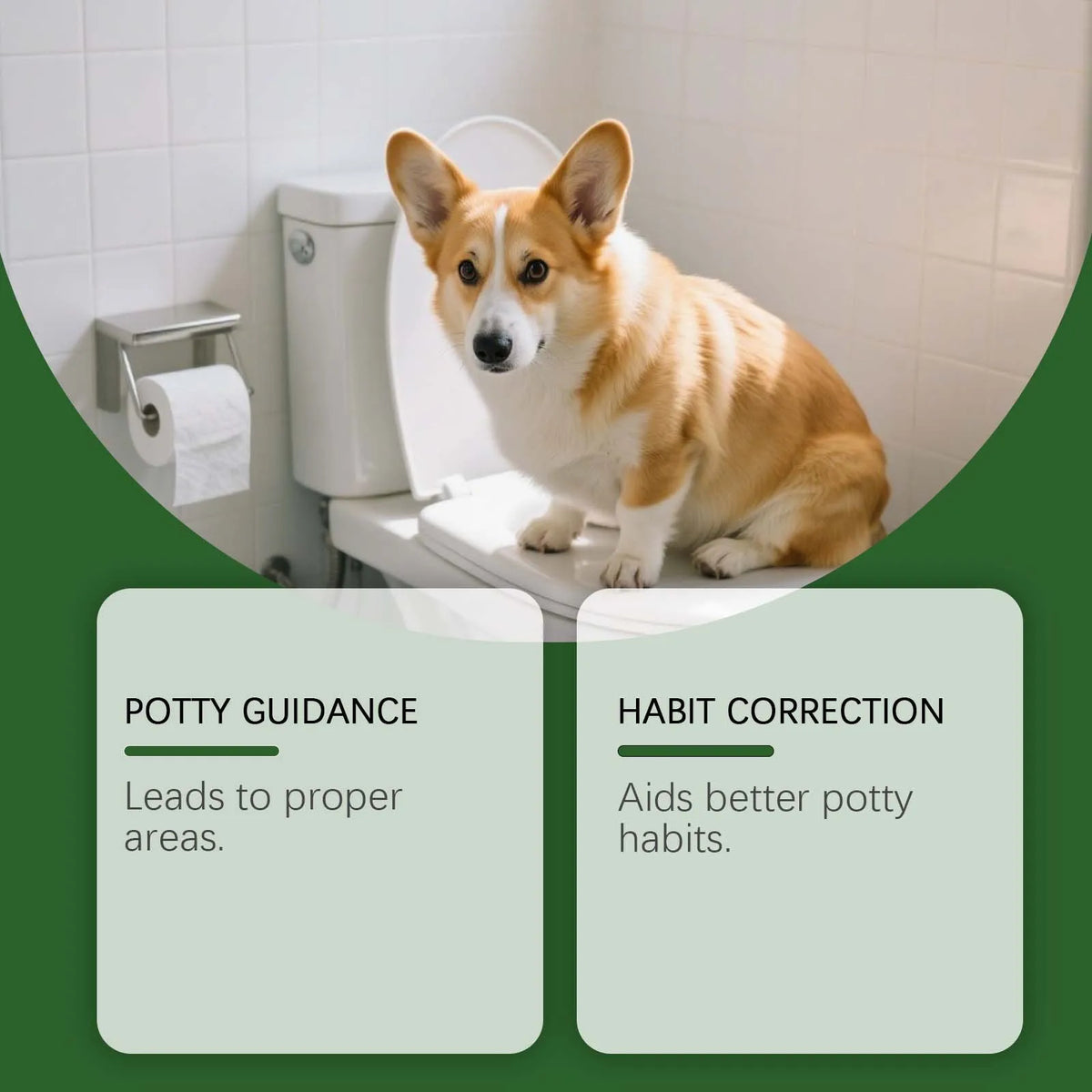 Pet Toilet Training Spray – Dog & Cat Potty Attractant 120ml