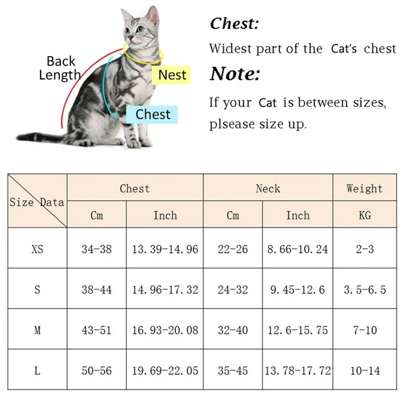 Breathable Pet Harness & Leash Set for Cats & Small Dogs