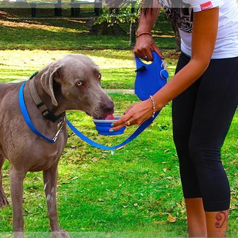 1 Retractable Dog Leash Water Bottle Bowl Portable Automatic Lead
