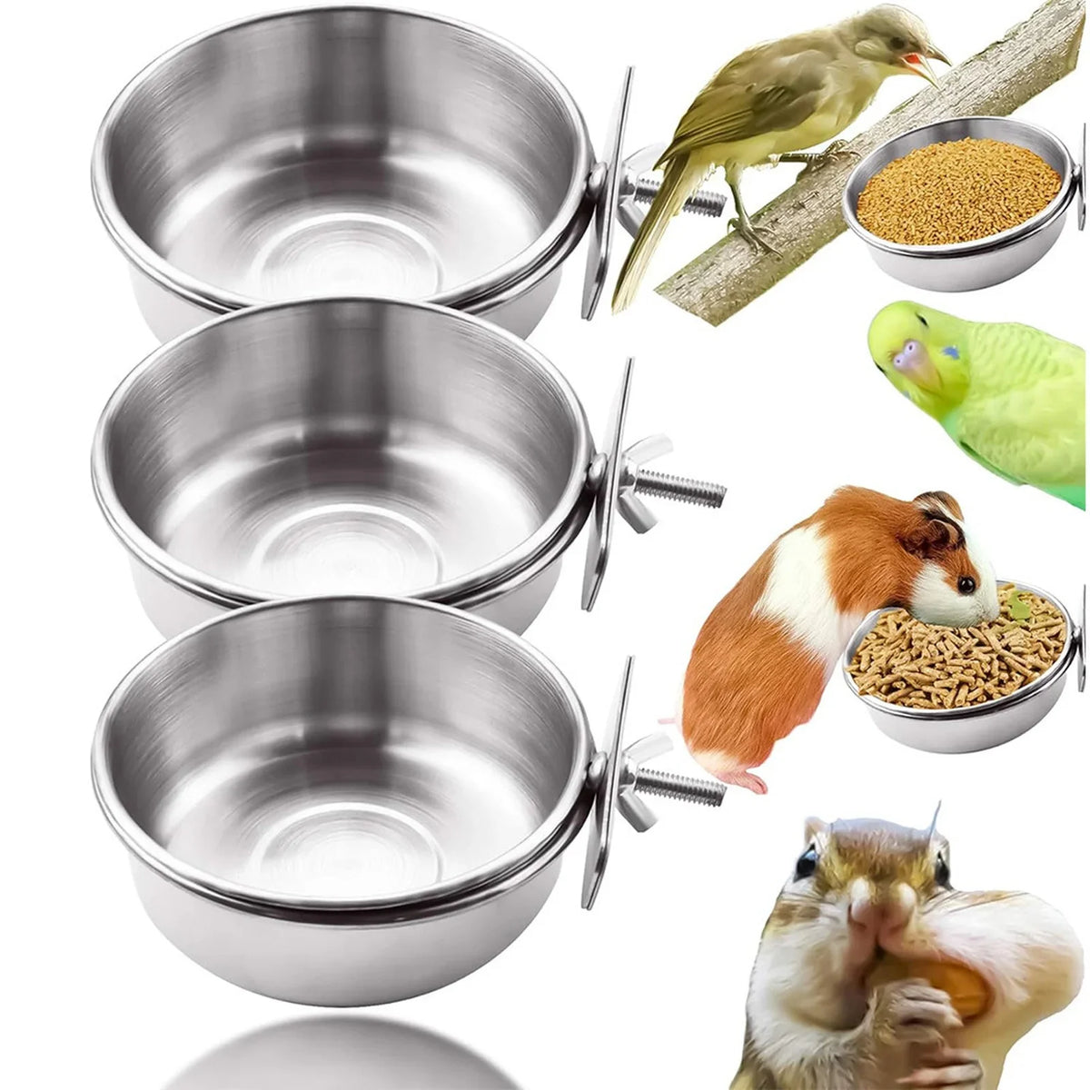 6-Pack Clamp-On Stainless Steel Bird Feeder Bowls & Spoons