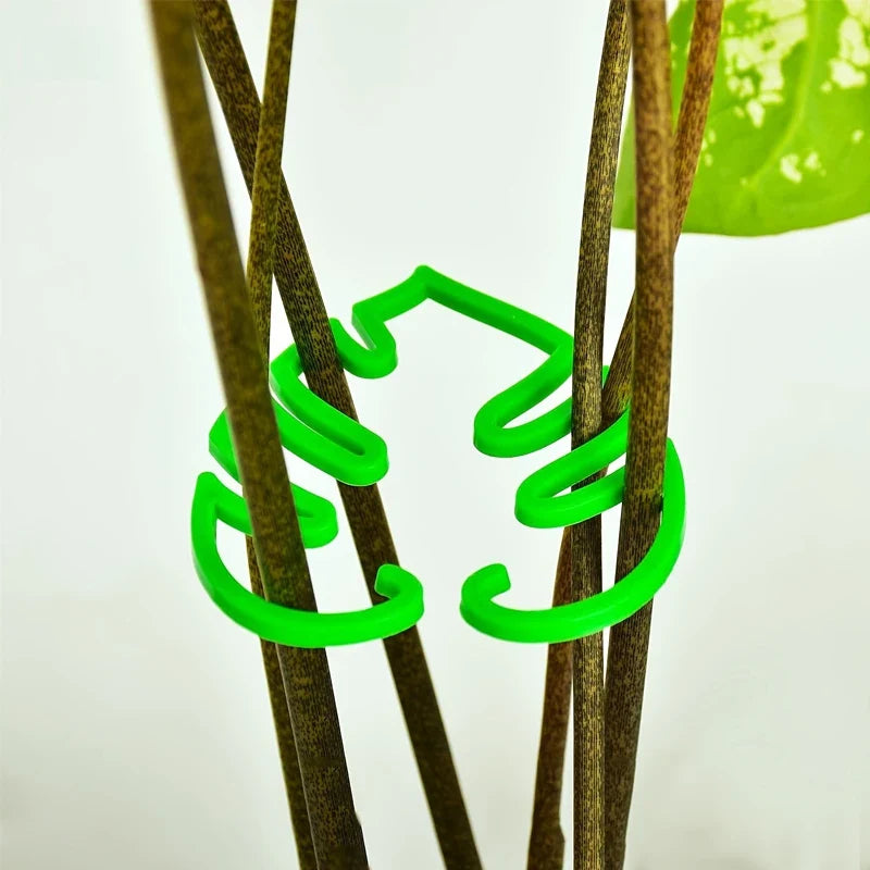 2PCS Turtle Shell Plant Stem Support Clips for Climbing Plants