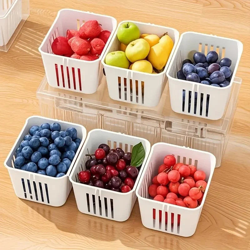 Compartment Bento Box Set – Transparent Food Storage Containers