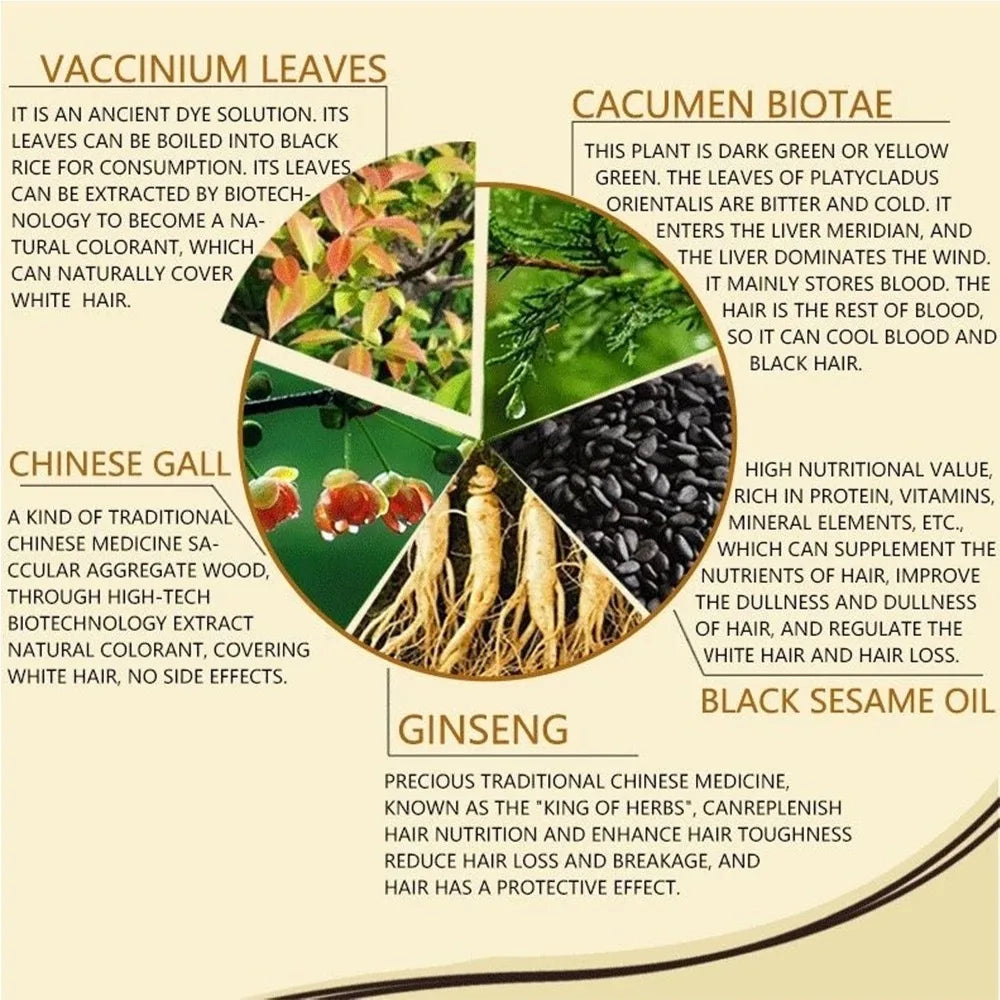 REAROYA Black Hair Dye Shampoo – Natural Plant-Based Color