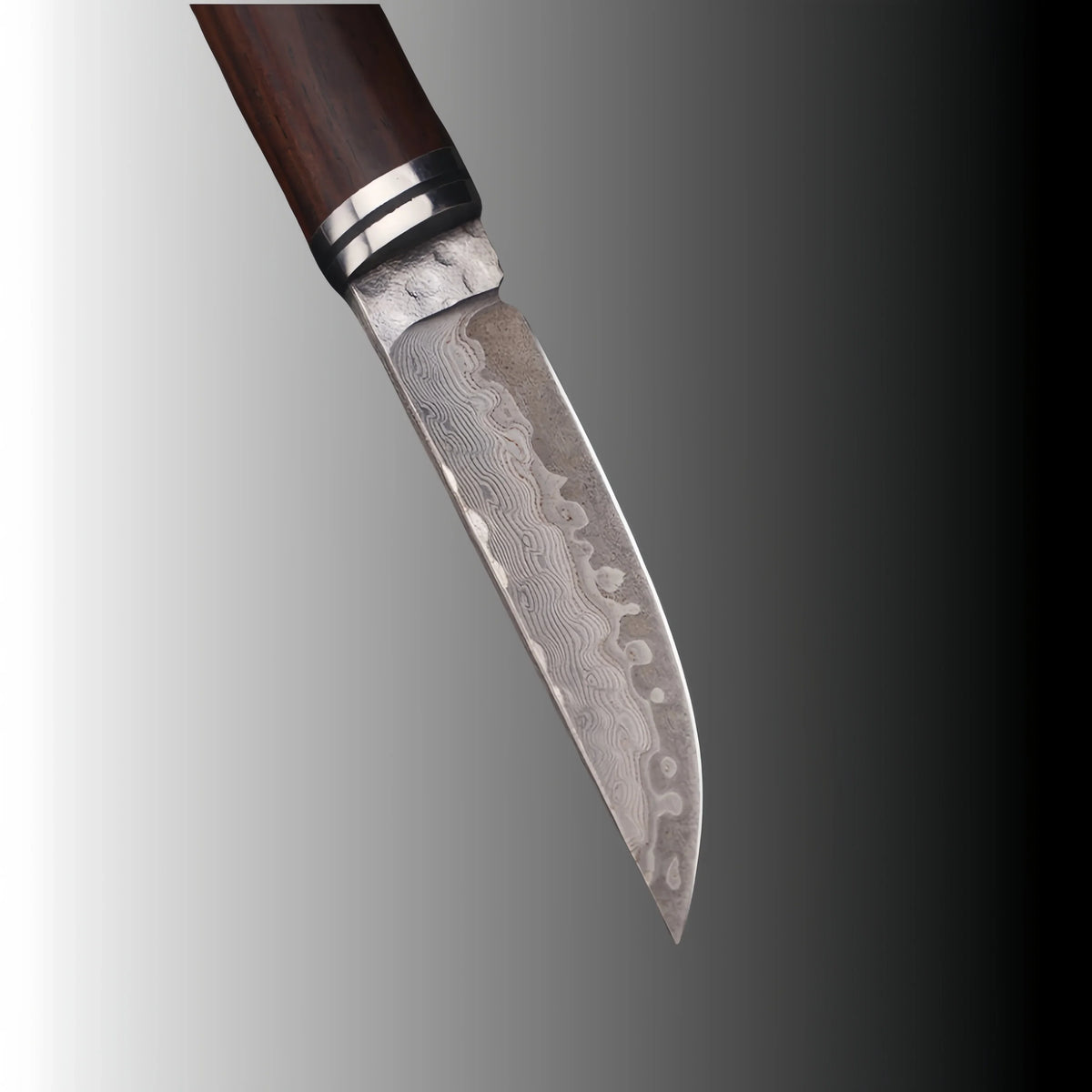 Damascus Fixed Blade Hunting Knife | 10Cr15MoV Steel 3-Inch