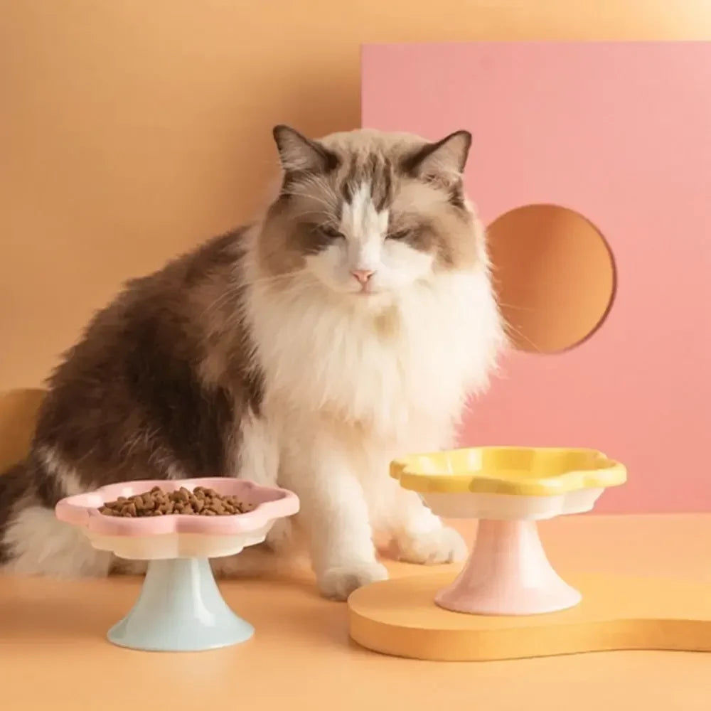 Elevated Ceramic Cat Bowl | Non-Slip Anti-Tip Raised Feeder