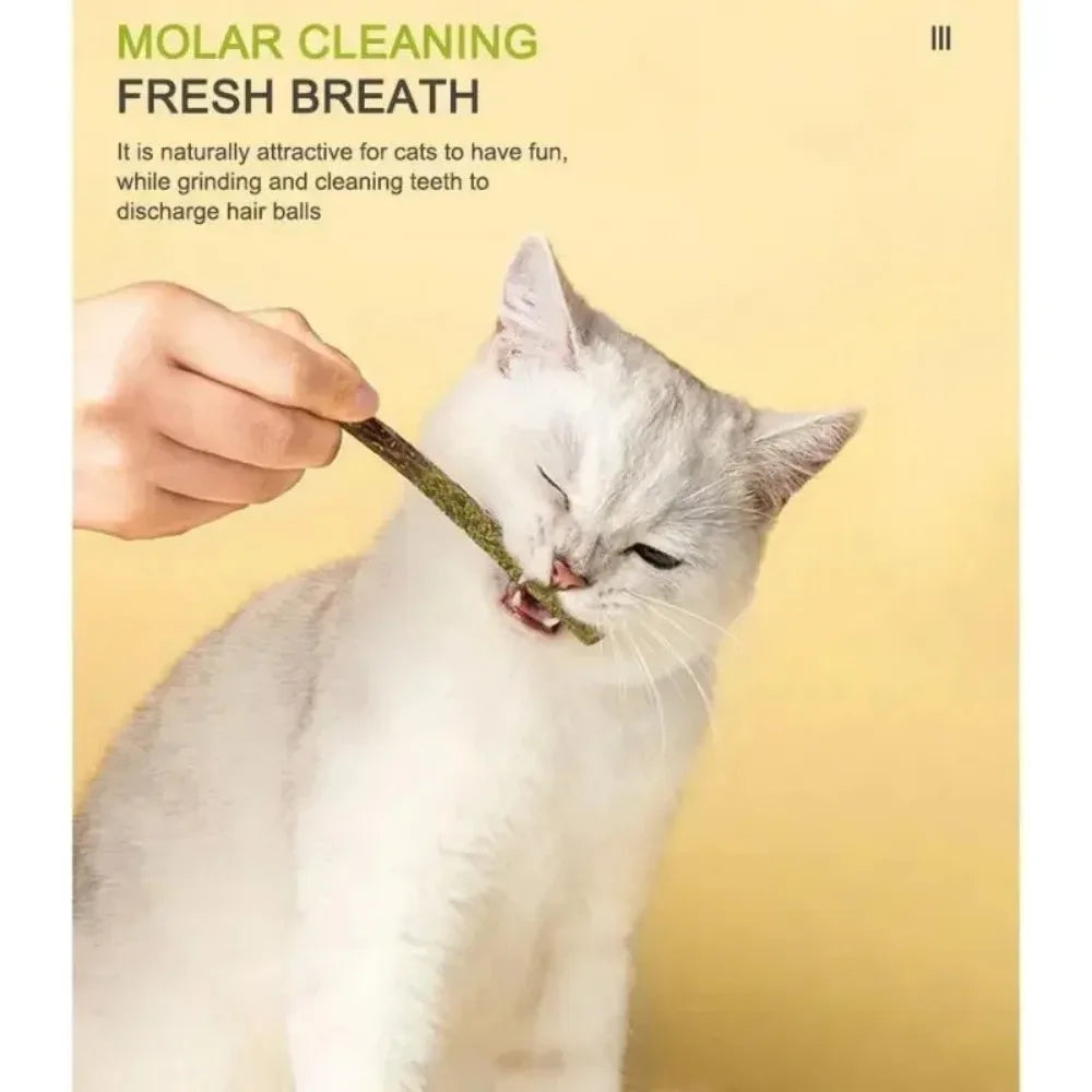 6-Pack Natural Silvervine Matatabi Cat Chew Sticks & Toys