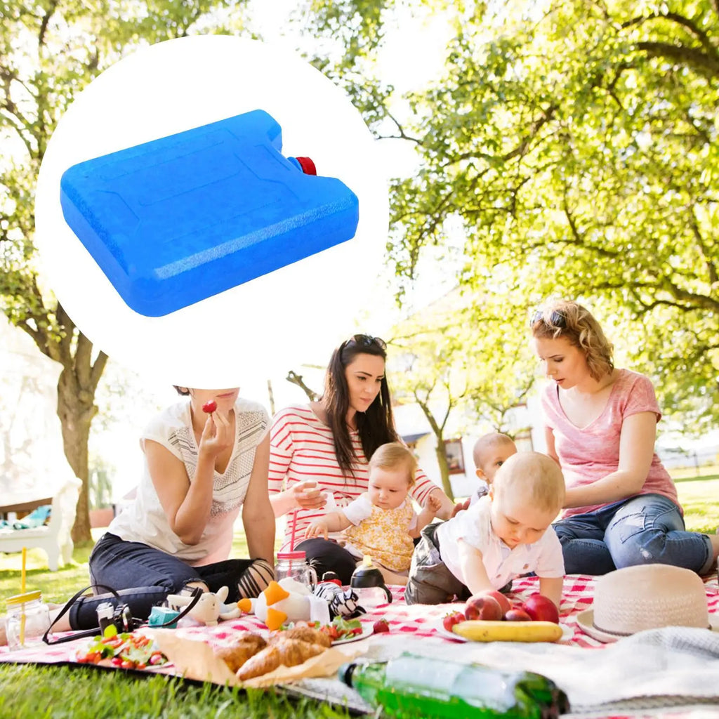 Reusable PE Ice Crystal Cooler Pack – Picnic & Food Storage