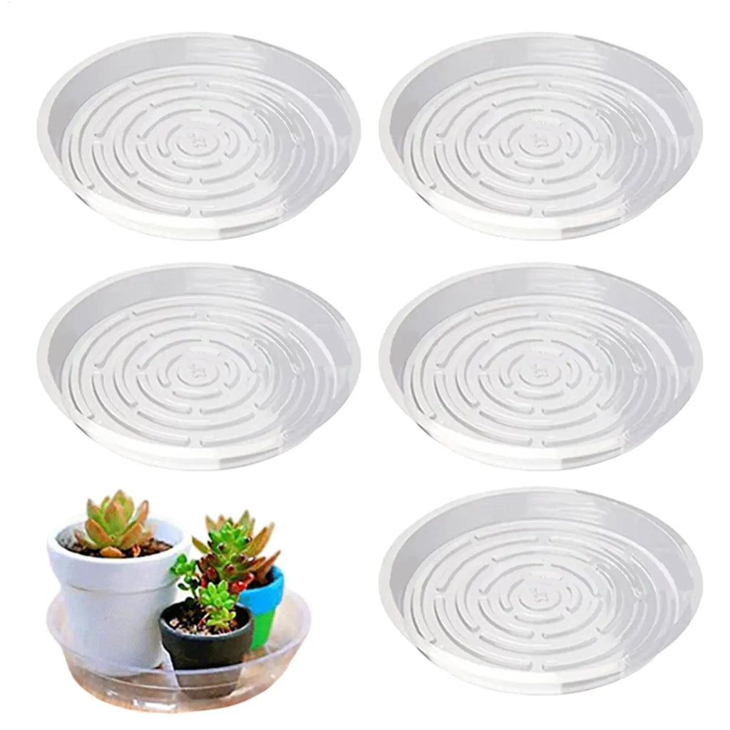 5-Pack Clear Round Plant Saucers | Plastic Pot Trays 6" 8" 10"