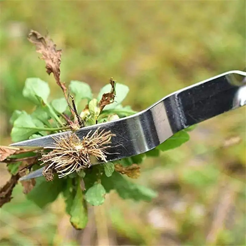 Stainless Steel Garden Weeder & Dandelion Root Remover Tool
