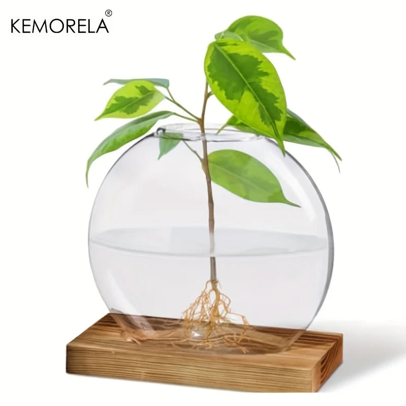 Hydroponic Glass Planter with Wood Stand | Desk Decor Vase