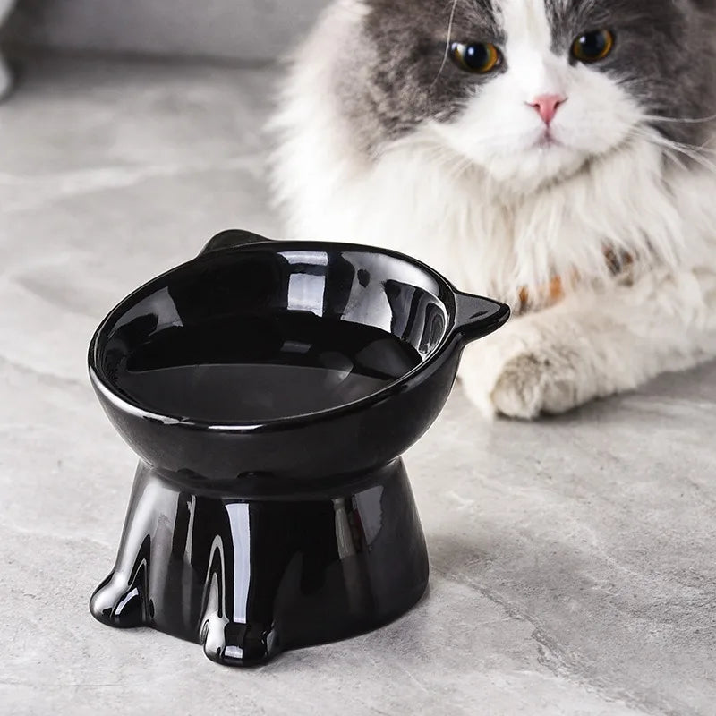 Elevated Anti-Knock Cat & Dog Bowl | High Foot Pet Feeder