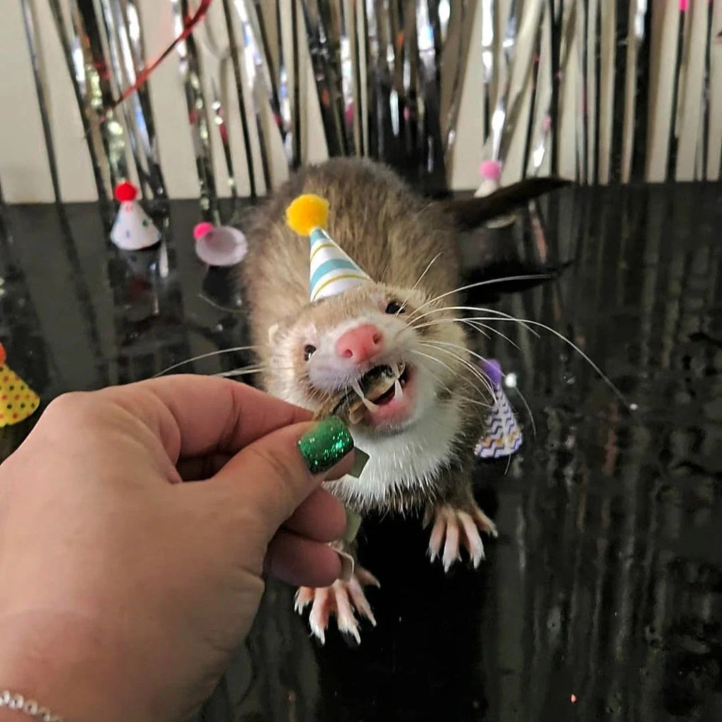 Mini Birthday Hat Cake Toppers DIY Decoration Kids Flages Baby Shower
