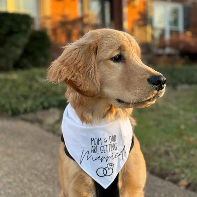 Dog Wedding Bandana – Mom & Dad Are Getting Married Pet Scarf