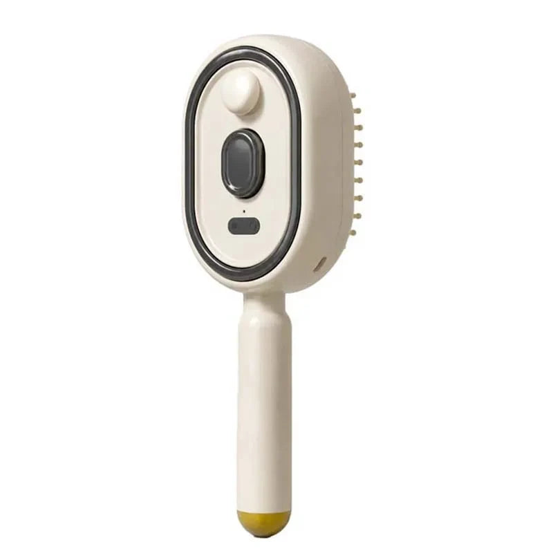 USB Electric Spray Hair Comb | 2-in-1 Atomizing Cushion Brush