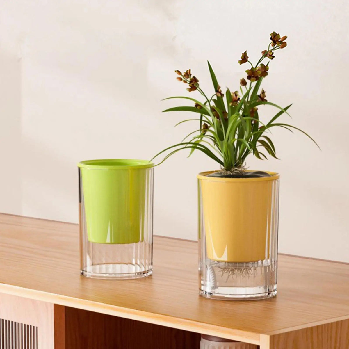 Self-Watering Double-Layer Flower Pot | Desktop Indoor Planter