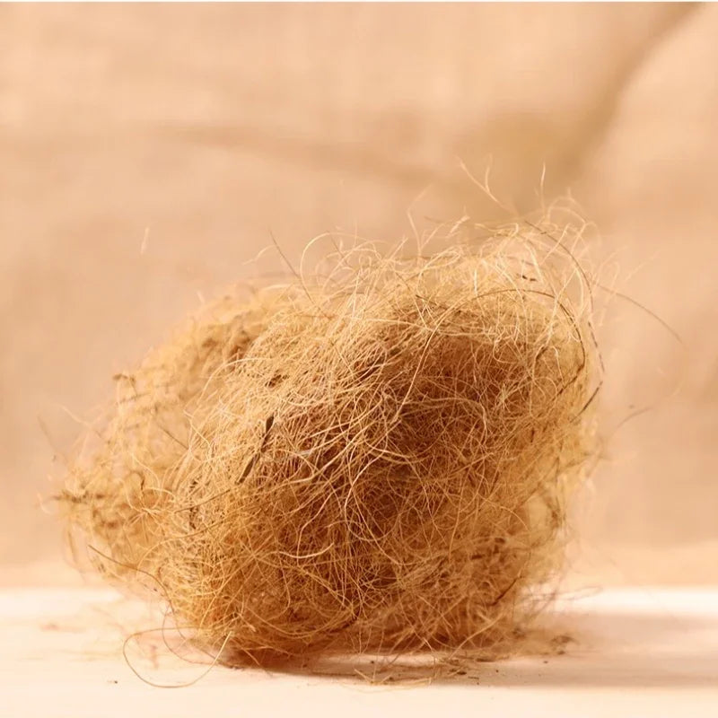 Coconut Fiber Bird Nesting Material – Canaries & Finches