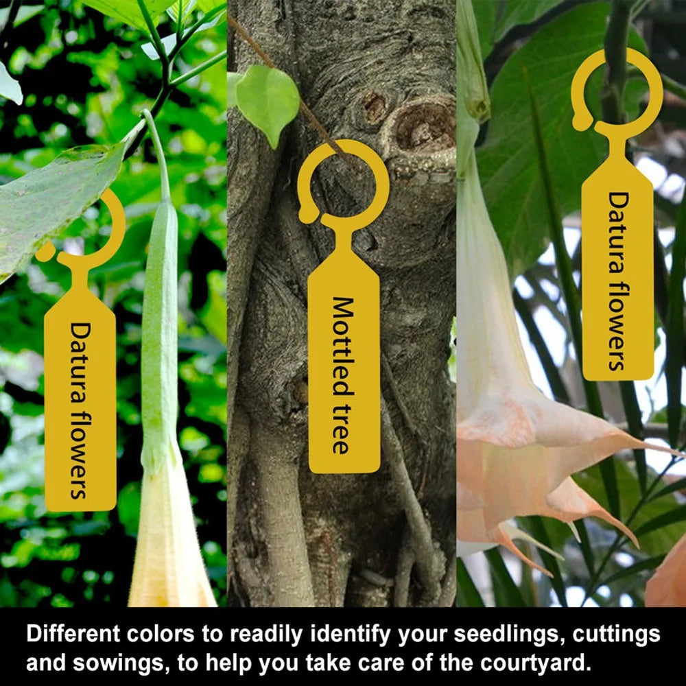 200PCS Reusable Plastic Plant Labels | Writable Nursery Tags