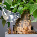Bird-Shaped Self-Watering Globes 5 Pack – Automatic Plant Drip