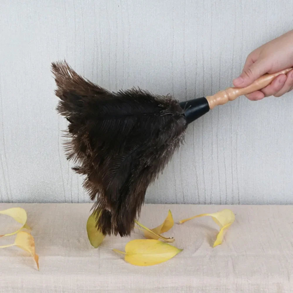 Ostrich Feather Duster Wooden Handle – Anti-Static Home Duster