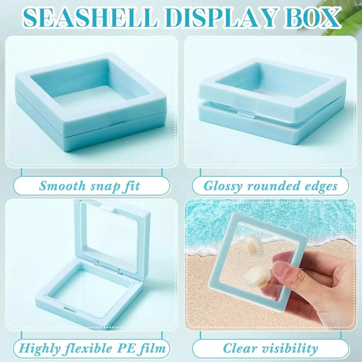 3D Floating Seashell Display Box | Acrylic Craft Organizer Case