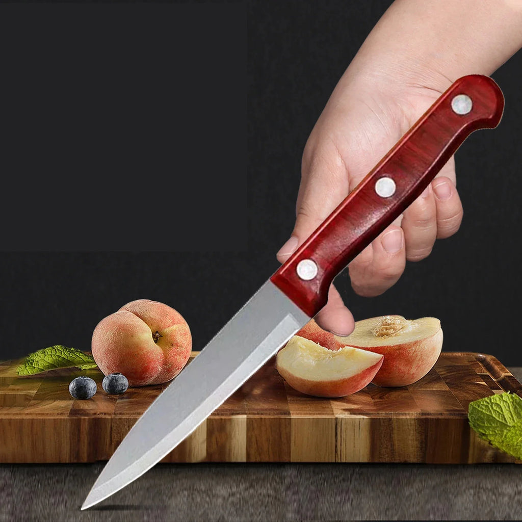 Sharp Stainless Steel Paring Knife – Fruit & Kitchen Knife