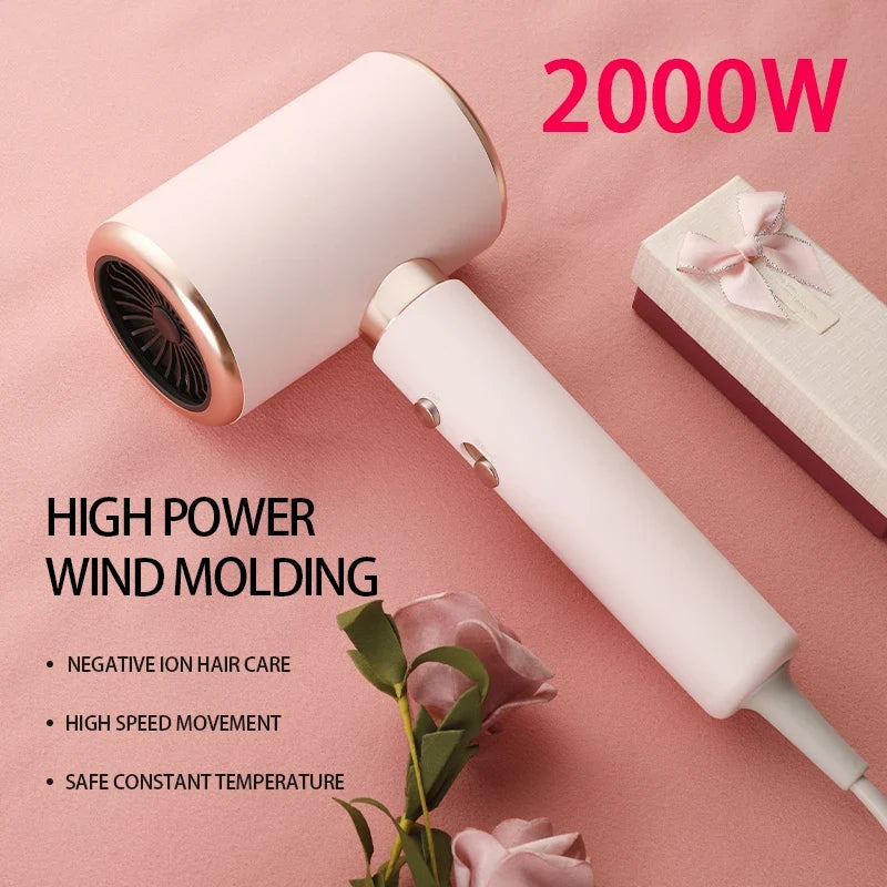 HOMEFISH 2000W Ionic Blow Dryer | 5-Speed Professional Hair Dryer