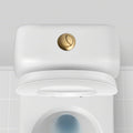 ABS Toilet Tank Round Stem Button Brushed Gold Close Coupled Flush