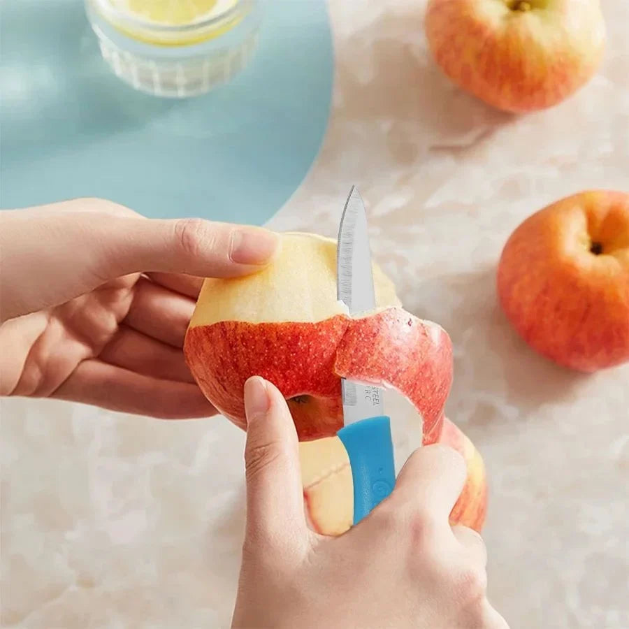 3-Piece Stainless Steel Fruit Knife & Peeler Set | Kitchen