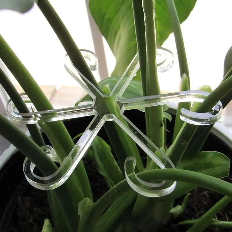 Plant Stem Support Reusable Plants Clips Garden Accessories Flower